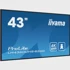 IIYAMA Monitor 43" LH4360UHS-B2AG, 4K UHD, IPS, HDMI, USB, crni